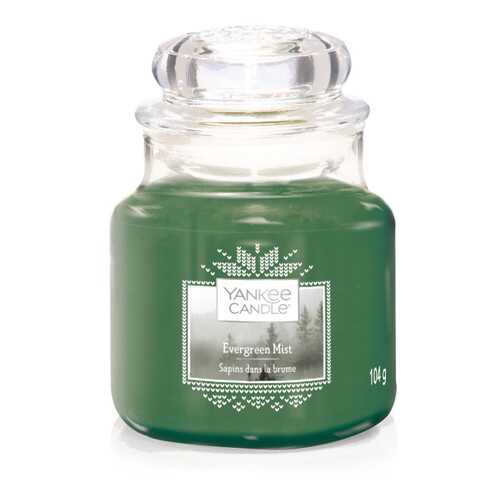 Свеча ароматическая Yankee Candle Evergreeen Mist Вечно-зеленая хвоя 25-40 ч в Фикс Прайс